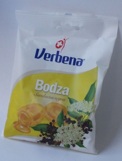 VERBENA BODZA.jpg